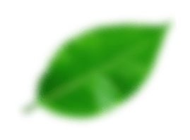 dpolux