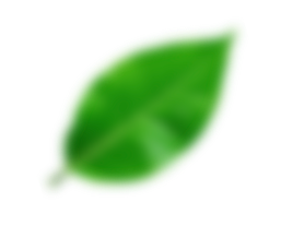 dpolux