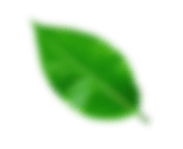 dpolux