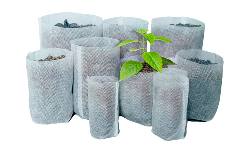 Empaques Biodegradables